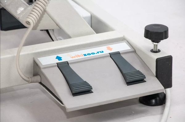 Изображение товара Стол для груминга wikiGROOM S80112060 (серый)