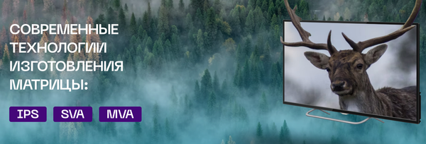 Изображение товара Телевизор POLAR 32" Line 32PL12TC