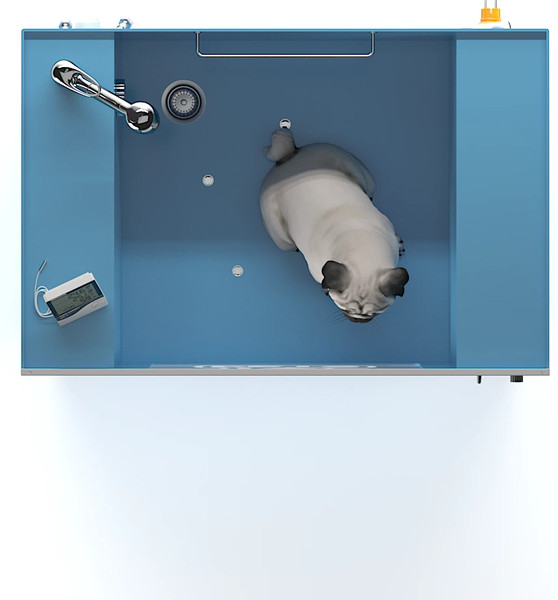 Изображение товара Ванна для животных wikiGROOM Stand SPA+Ozon / stand_ozon (голубой)