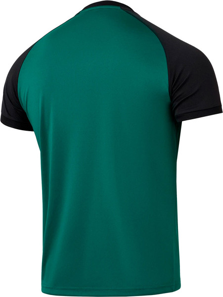 Изображение товара Футболка игровая футбольная Jogel Camp Reglan Jersey N4 / JFT-1021-K (XS, темно-зеленый)