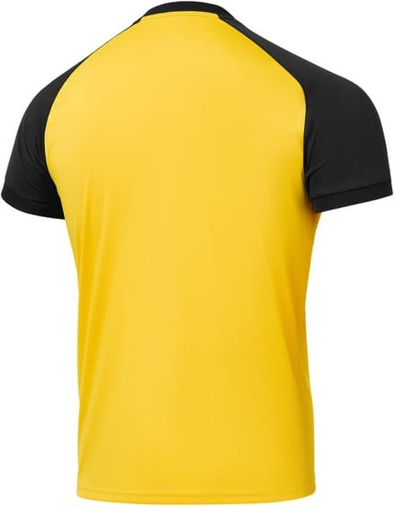Изображение товара Футболка игровая футбольная Jogel Camp Reglan Jersey / JFT-1021 (L, желтый)