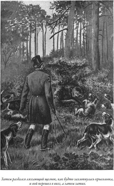 Изображение товара Книга СЗКЭО Комната ужасов (Дойл Артур)