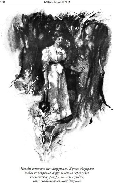 Изображение товара Художественная книга СЗКЭО Дилемма капитана Блада и другие рассказы (Сабатини Рафаэль)