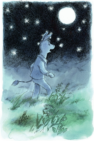 Изображение товара Художественная книга СЗКЭО Ежик в тумане (Козлов Сергей)