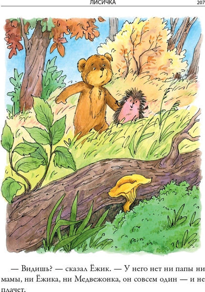 Изображение товара Художественная книга СЗКЭО Ежик в тумане (Козлов Сергей)