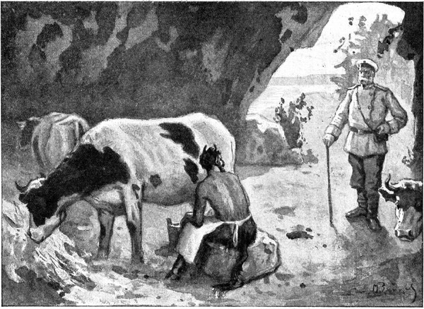 Изображение товара Художественная книга СЗКЭО Русские народные сказки (Федоров-Давыдов Александр)