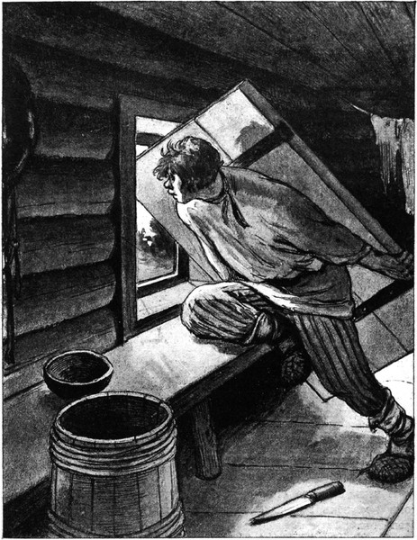 Изображение товара Художественная книга СЗКЭО Русские народные сказки (Федоров-Давыдов Александр)