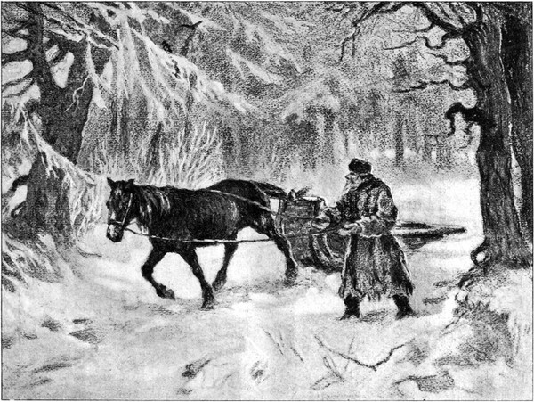 Изображение товара Художественная книга СЗКЭО Русские народные сказки (Федоров-Давыдов Александр)