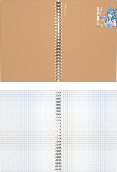 Изображение товара Тетрадь Erich Krause Manga / 59523 (80л, бежевый)