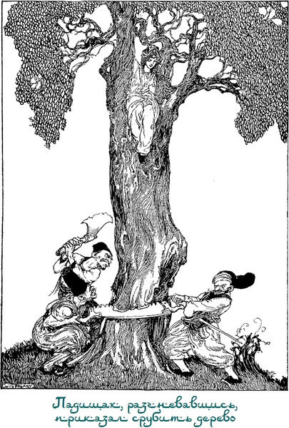 Изображение товара Книга СЗКЭО Турецкие волшебные сказки, твердая обложка