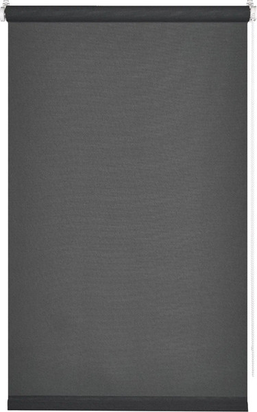 Изображение товара Рулонная штора Franc Gardiner Screen 50x160 / 97282810 (асфальт)