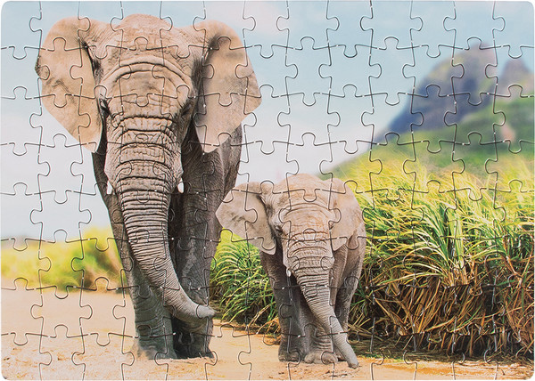 Изображение товара Пазл Dream Makers 104 Африка / RI1001C