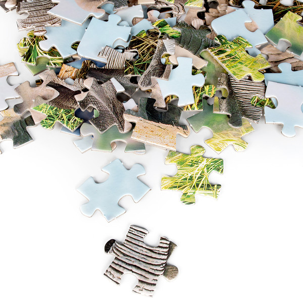 Изображение товара Пазл Dream Makers 104 Африка / RI1001C