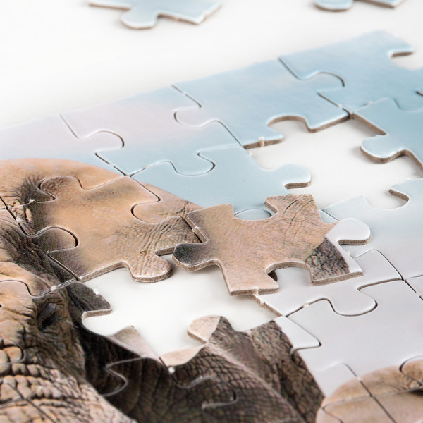 Изображение товара Пазл Dream Makers 104 Африка / RI1001C