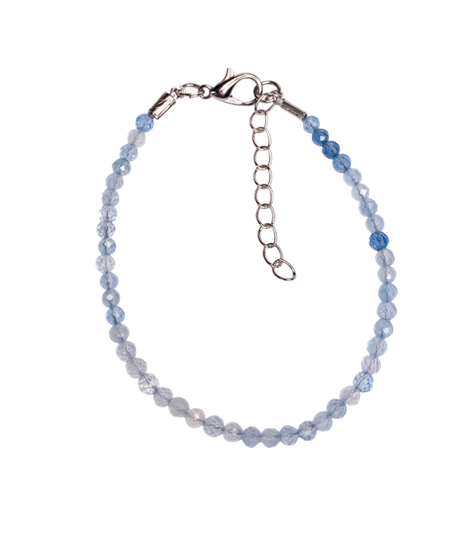 Изображение товара Браслет на ногу Wolves Аквамарин 6221 (р.21-26)