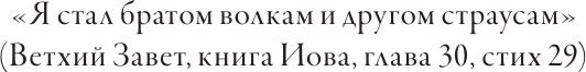 Изображение товара Книга АСТ Брат волка. Том 2. Суд лунной ночью, твердая обложка (Хо Гё, Санса)