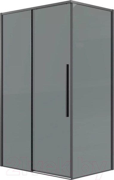 Изображение товара Душевая стенка Grossman Galaxy 100х195 / 200.K33.01.100.42.10 (графит сатин/стекло тонированное)