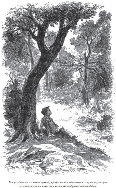 Изображение товара Книга СЗКЭО Все приключения Тома Сойера и Гекельберри Финна, твердая обложка (Твен Марк)