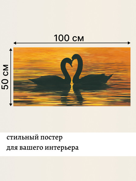 Изображение товара Постер Декарт 8П0016