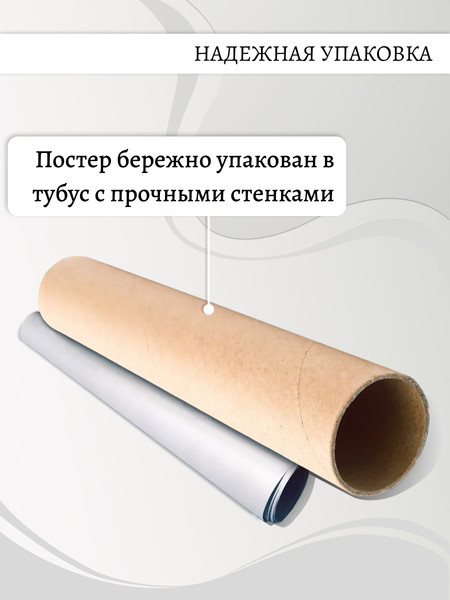 Изображение товара Постер Декарт 8П0016