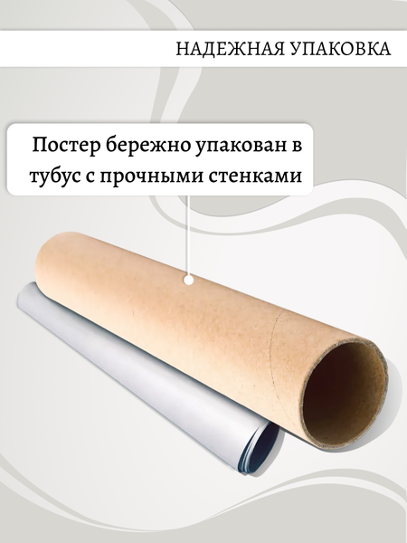 Изображение товара Постер Декарт 8П0019