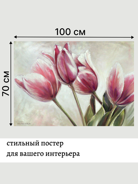 Изображение товара Постер Декарт 8П0020