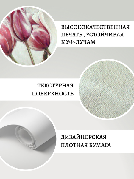 Изображение товара Постер Декарт 8П0020