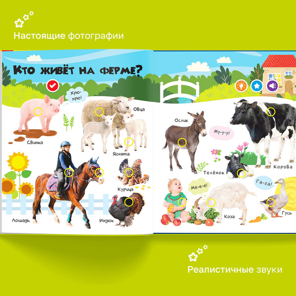 Изображение товара Набор развивающих книг BertToys Нажималка Я и мир вокруг и Животные