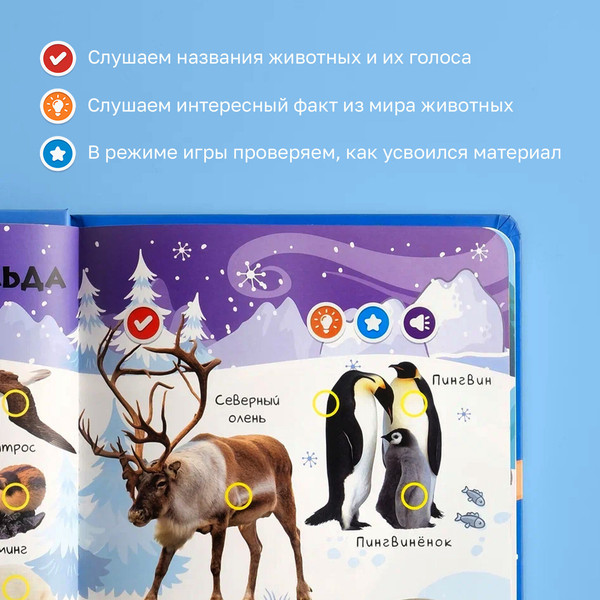 Изображение товара Набор развивающих книг BertToys Нажималка Я и мир вокруг и Животные