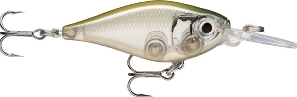 Изображение товара Воблер Rapala X-Light Shad 04 / FNS04-GHSH
