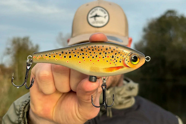 Изображение товара Воблер Rapala Super Shadow Rap Jerk 11 / SSDRJ11-TRL