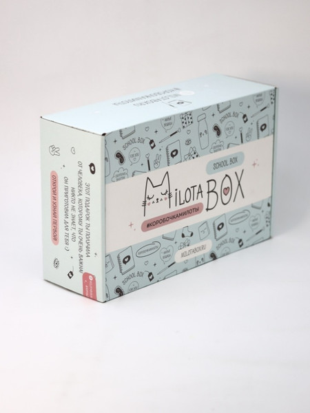 Изображение товара Подарочный набор ILikeGift MilotaBox School Box / MB100