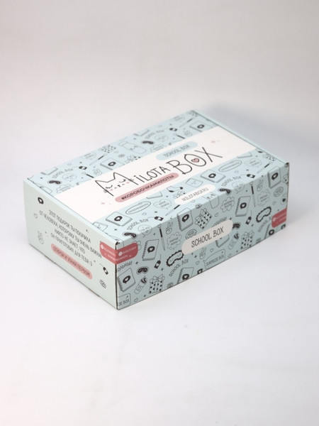 Изображение товара Подарочный набор ILikeGift MilotaBox School Box / MB100