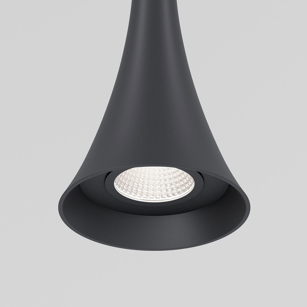 Изображение товара Потолочный светильник Elektrostandard Hall 50314 LED 4000 (черный)
