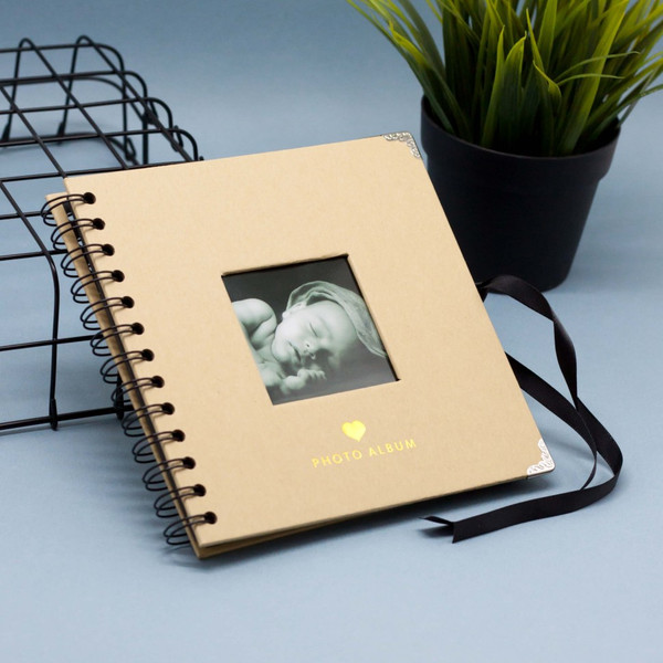 Изображение товара Фотоальбом ILikeGift Metal / PA009 (коричневый)