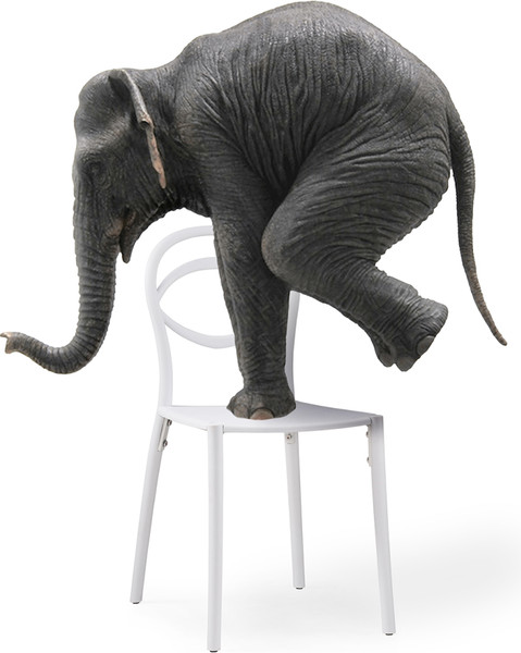 Изображение товара Стул пластиковый Woodville Simple / 15739 (белый)