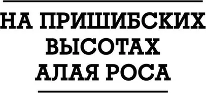 Изображение товара Книга Вече На Пришибских высотах алая роса, твердая обложка (Мусатова Лиана)
