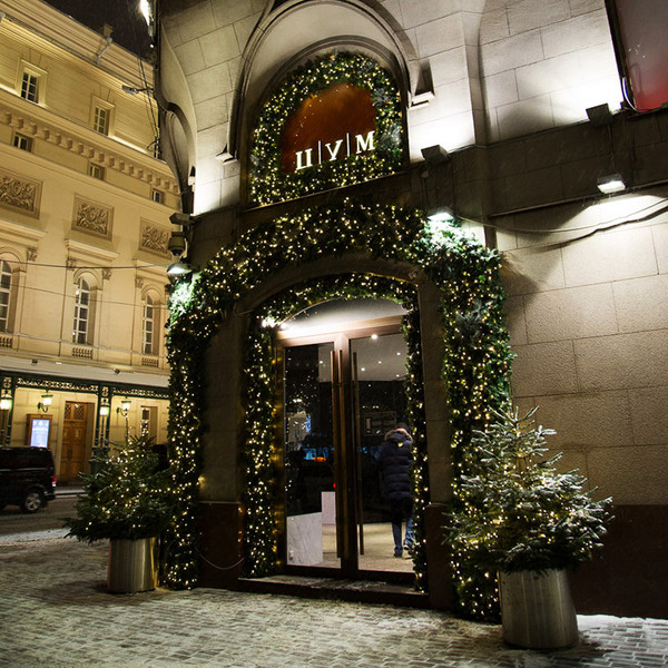 Изображение товара Гирлянда еловая Neon-Night С шишками 307-221 (2.7м)