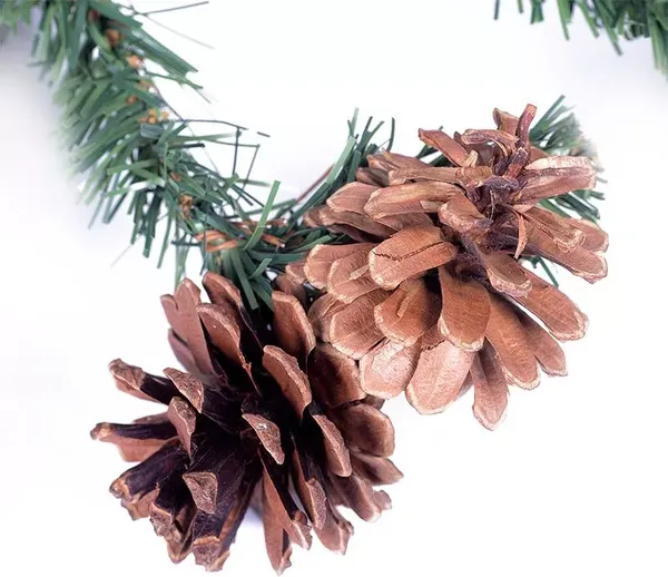 Изображение товара Гирлянда еловая Neon-Night С шишками 307-221 (2.7м)