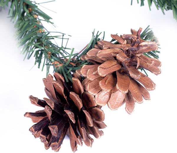 Изображение товара Гирлянда еловая Neon-Night С шишками 307-221 (2.7м)