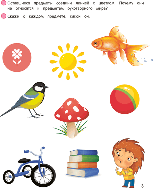 Изображение товара Развивающая книга Аверсэв Умней-ка. 4-5 лет. Я познаю мир. 2025, мягкая обложка (Косенюк Раиса, Шашок Валентина)