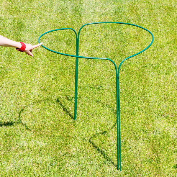 Изображение товара Опора для растений Садовита Кустодержатель Круг Б d-0.8м h-0.9м (2шт)