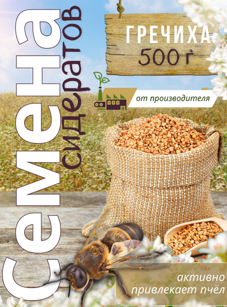 Изображение товара Сидерат Зеленая Русь Гречиха (500г)