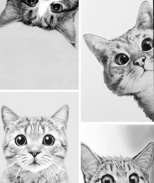 Изображение товара Картина по номерам ILikeGift Мемчики. Наташ, вставай! / HR0674