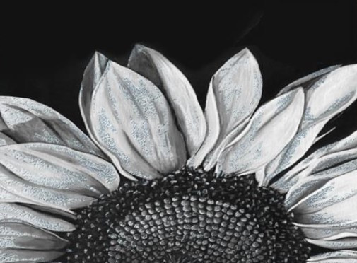 Изображение товара Картина по номерам ILikeGift Подсолнух на черном фоне / BQH0003