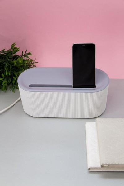 Изображение товара Контейнер для хранения ILikeGift Classic / 6604 (белый)