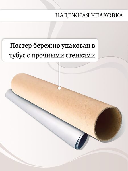 Изображение товара Постер Декарт 8П0024