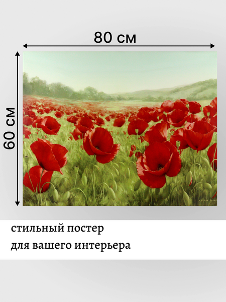 Изображение товара Постер Декарт 8П0025