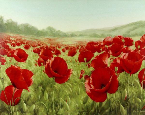 Изображение товара Постер Декарт 8П0025