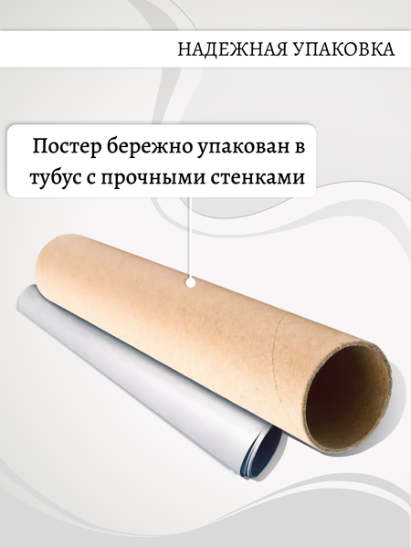 Изображение товара Постер Декарт 8П0021